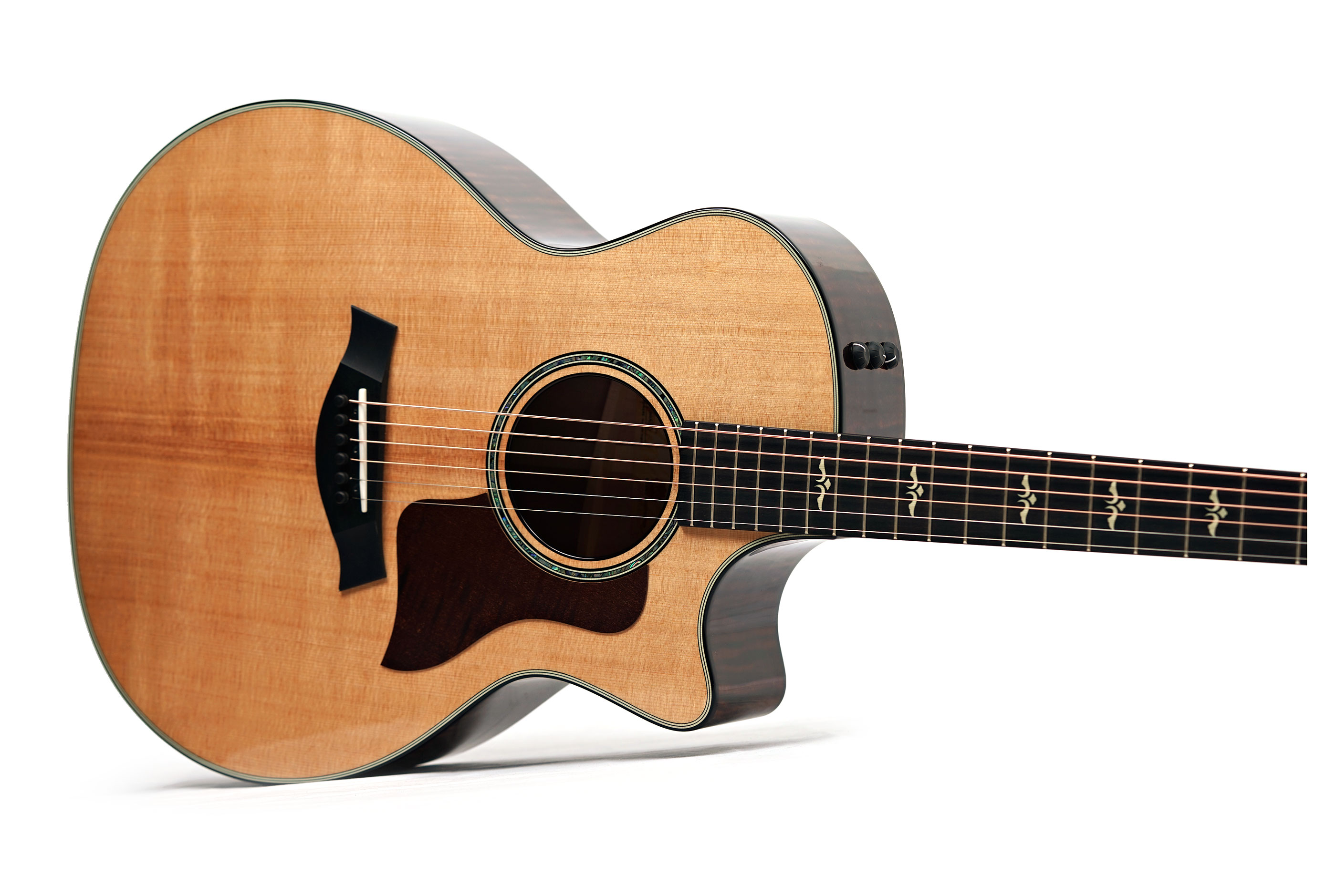 Taylor 614ce Grand Auditorium V Class Bracing (Nearly New) #1208224080