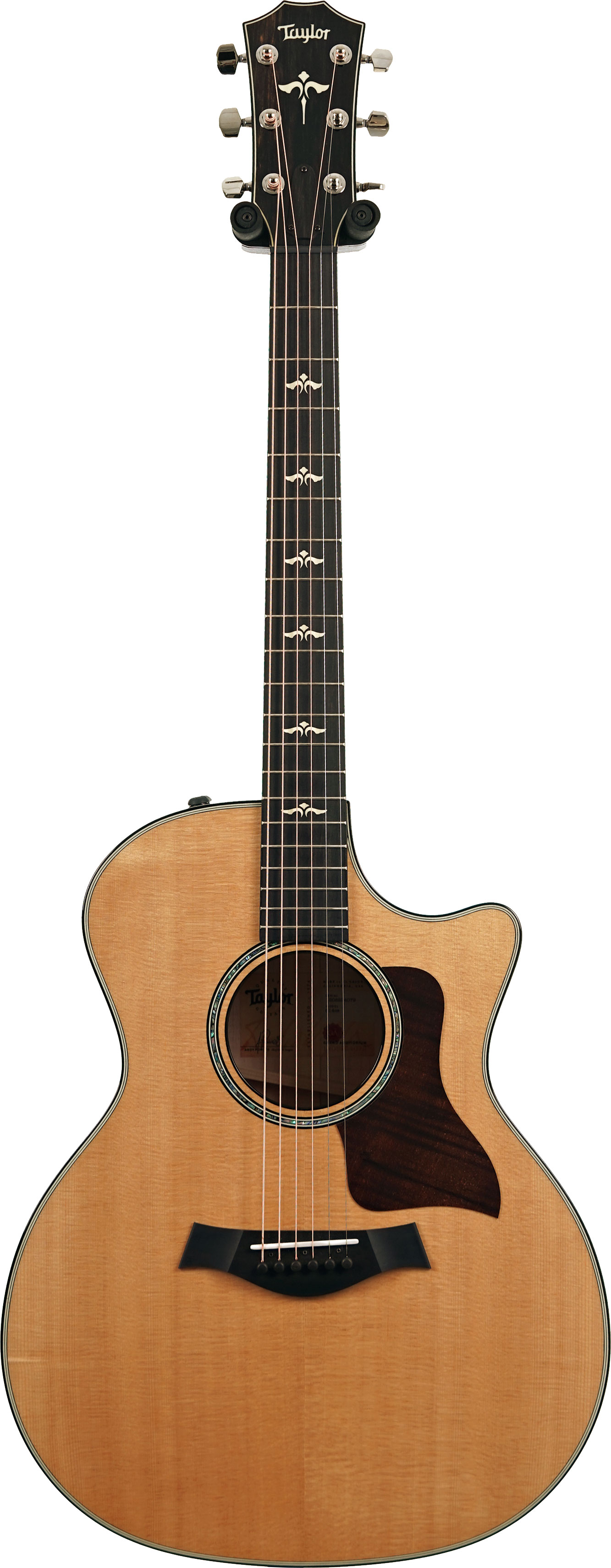 Taylor 614ce Grand Auditorium V Class Bracing (Ex-Demo) #1208224079