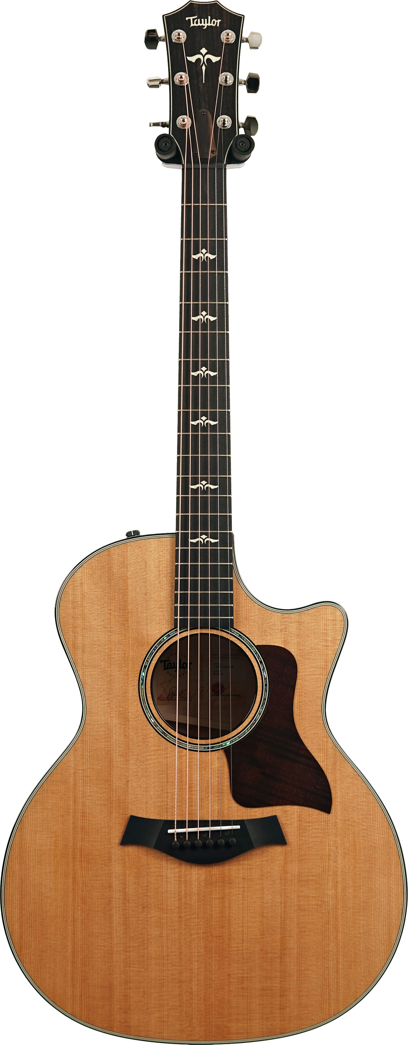 Taylor 614ce Grand Auditorium V Class Bracing (Nearly New) #1208194053