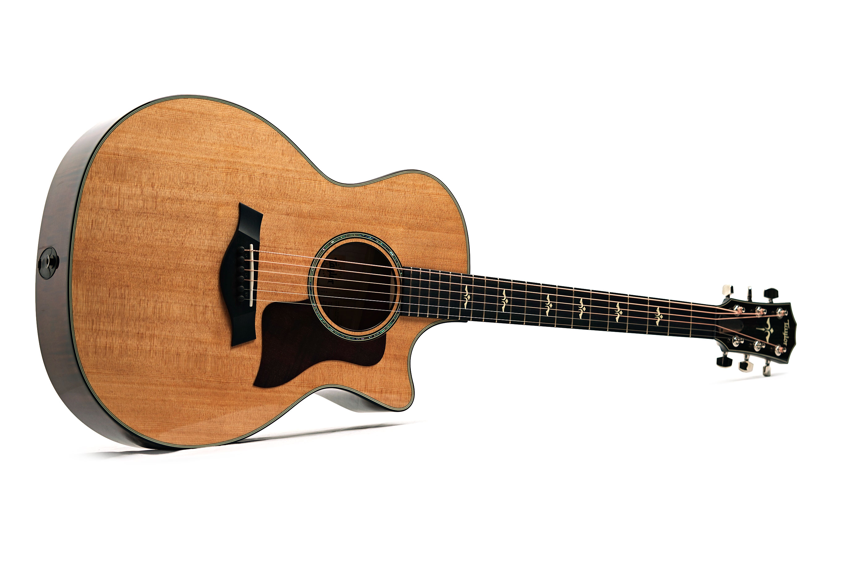 Taylor 614ce Grand Auditorium V Class Bracing (Nearly New) #1208194053