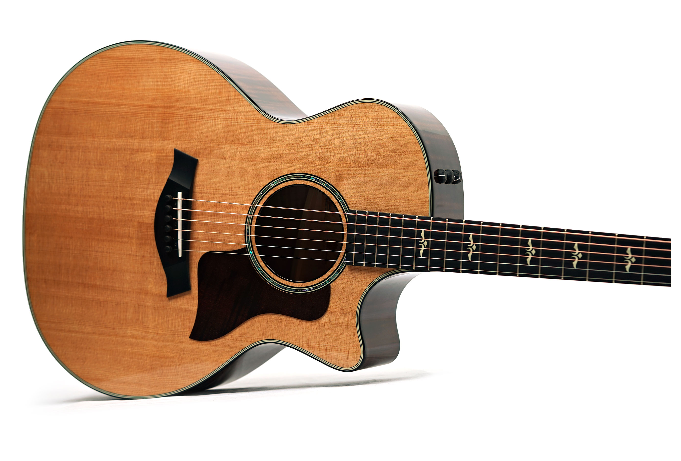 Taylor 614ce Grand Auditorium V Class Bracing (Nearly New) #1208194053