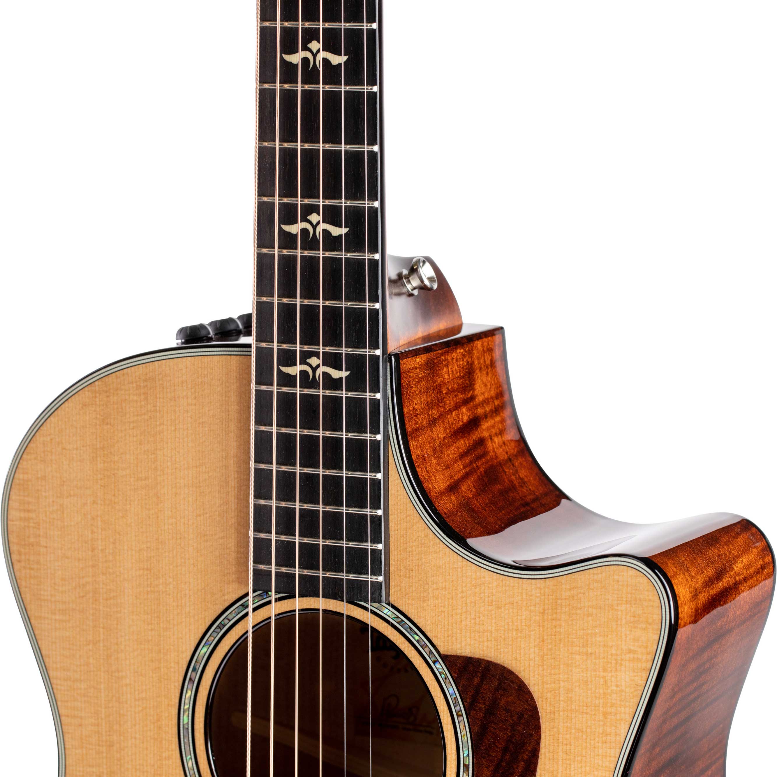 Taylor 614ce Grand Auditorium V Class Bracing