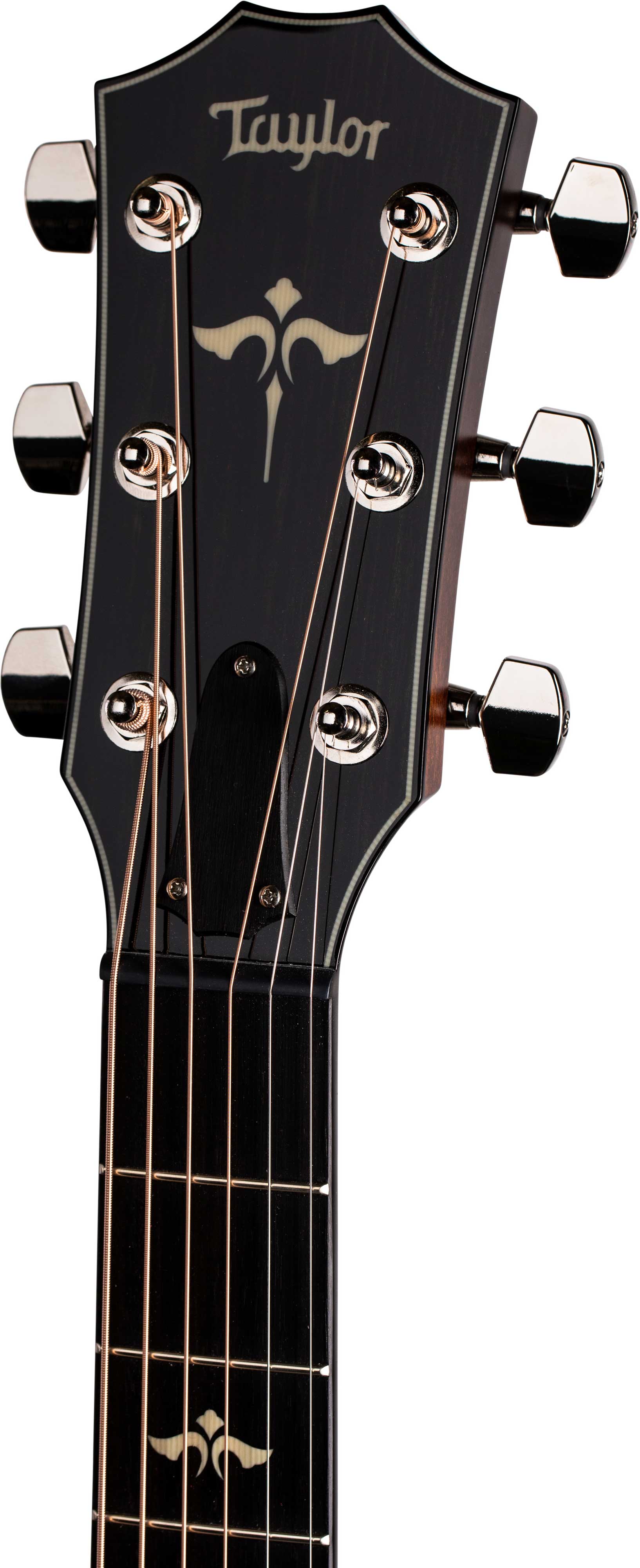Taylor 614ce Grand Auditorium V Class Bracing