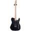 Fender Player Telecaster Black Maple Fingerboard (Ex-Demo) #MX21005370 Front View