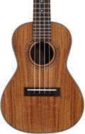 Alvarez Regent Series RU90CP Concert Ukulele Pack with Gigbag & Tuner
