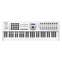 Arturia Keylab 61 MKII USB Controller Keyboard (White) Front View