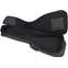 Fender FAB-610 Long Scale Acoustic Bass Gig Bag  Front View