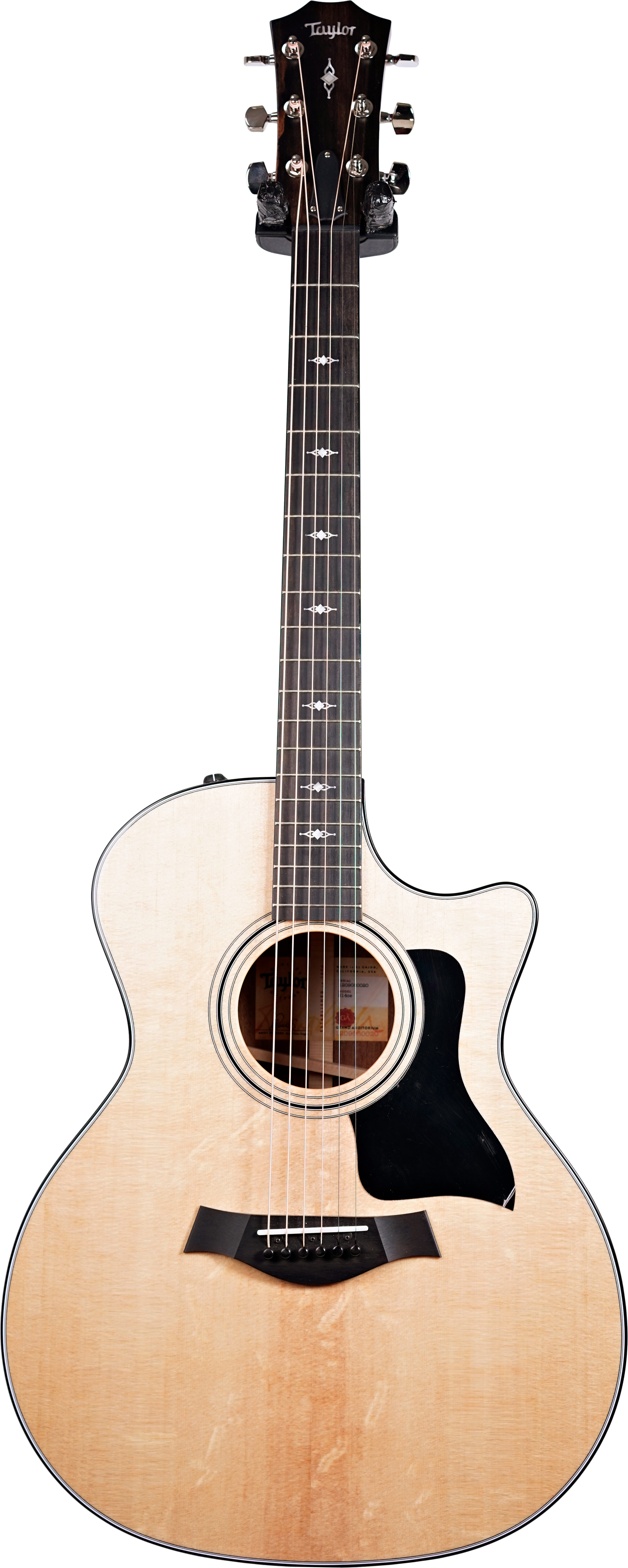 Taylor 314ce Grand Auditorium V Class Bracing (Ex-Demo) #1209080020