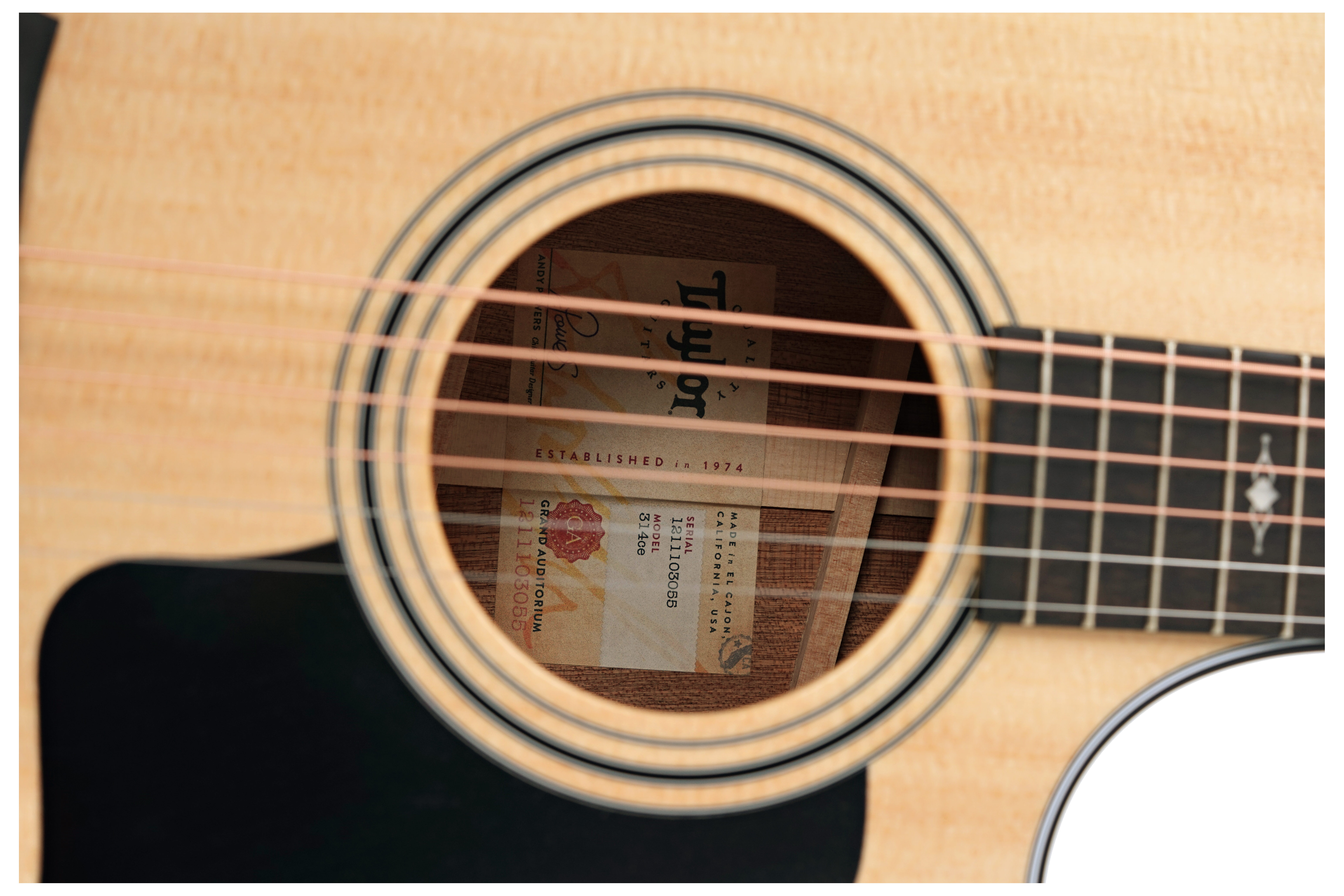 Taylor 314ce Grand Auditorium V Class Bracing