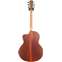 Lowden F35c Adirondack/Cocobolo with LR Baggs Anthem Back View