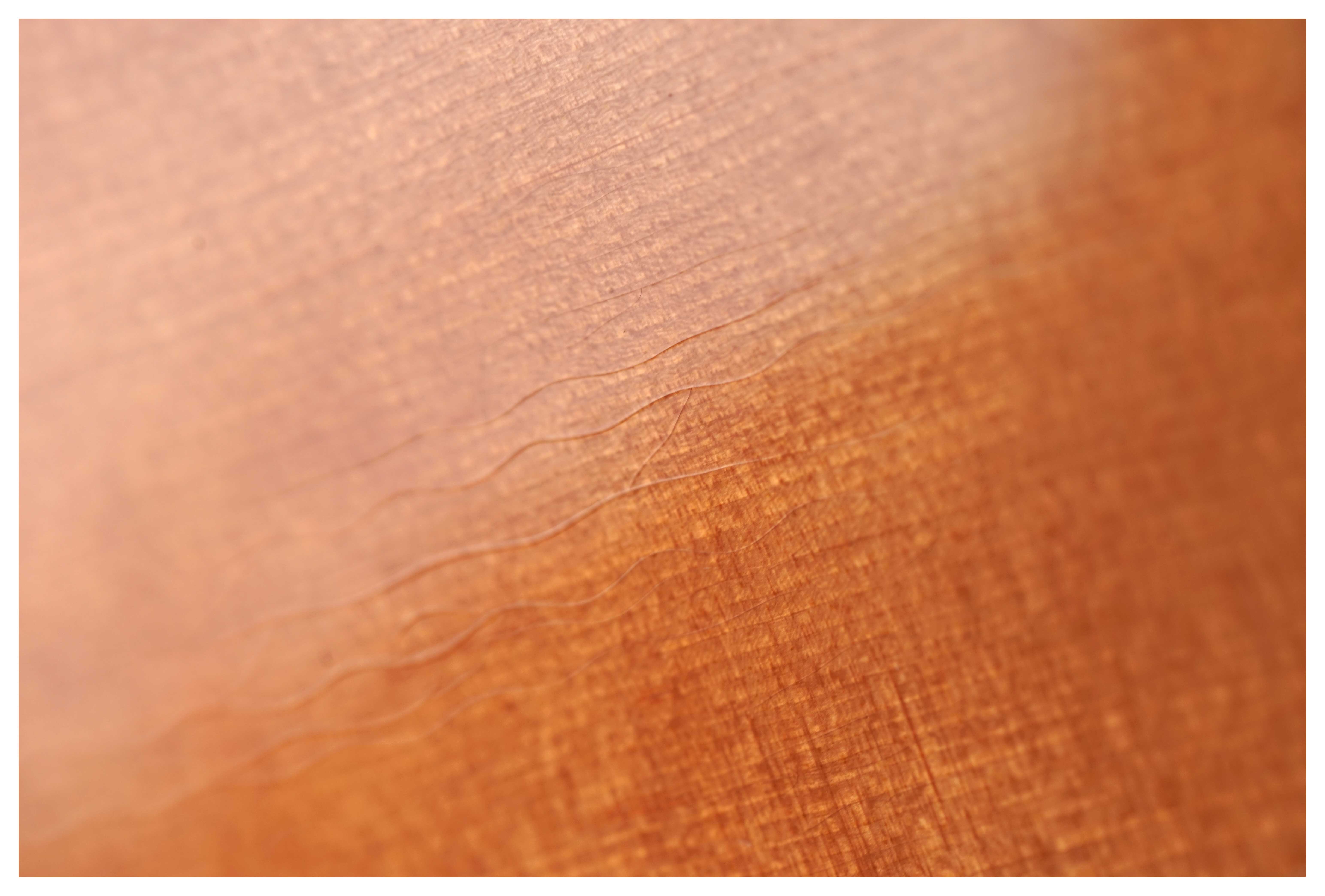 Atkin D37 Relic #3709