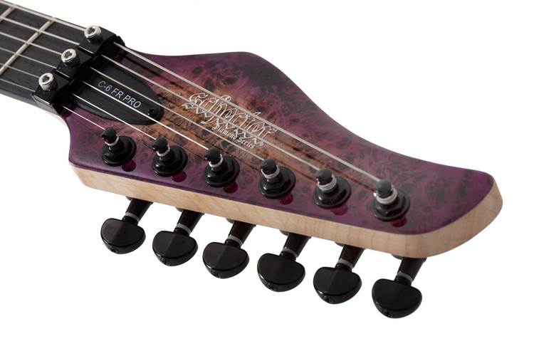 Schecter C-6 FR Pro Floyd Aurora Burst Schecter C-6 FR Pro Floyd Aurora Burst