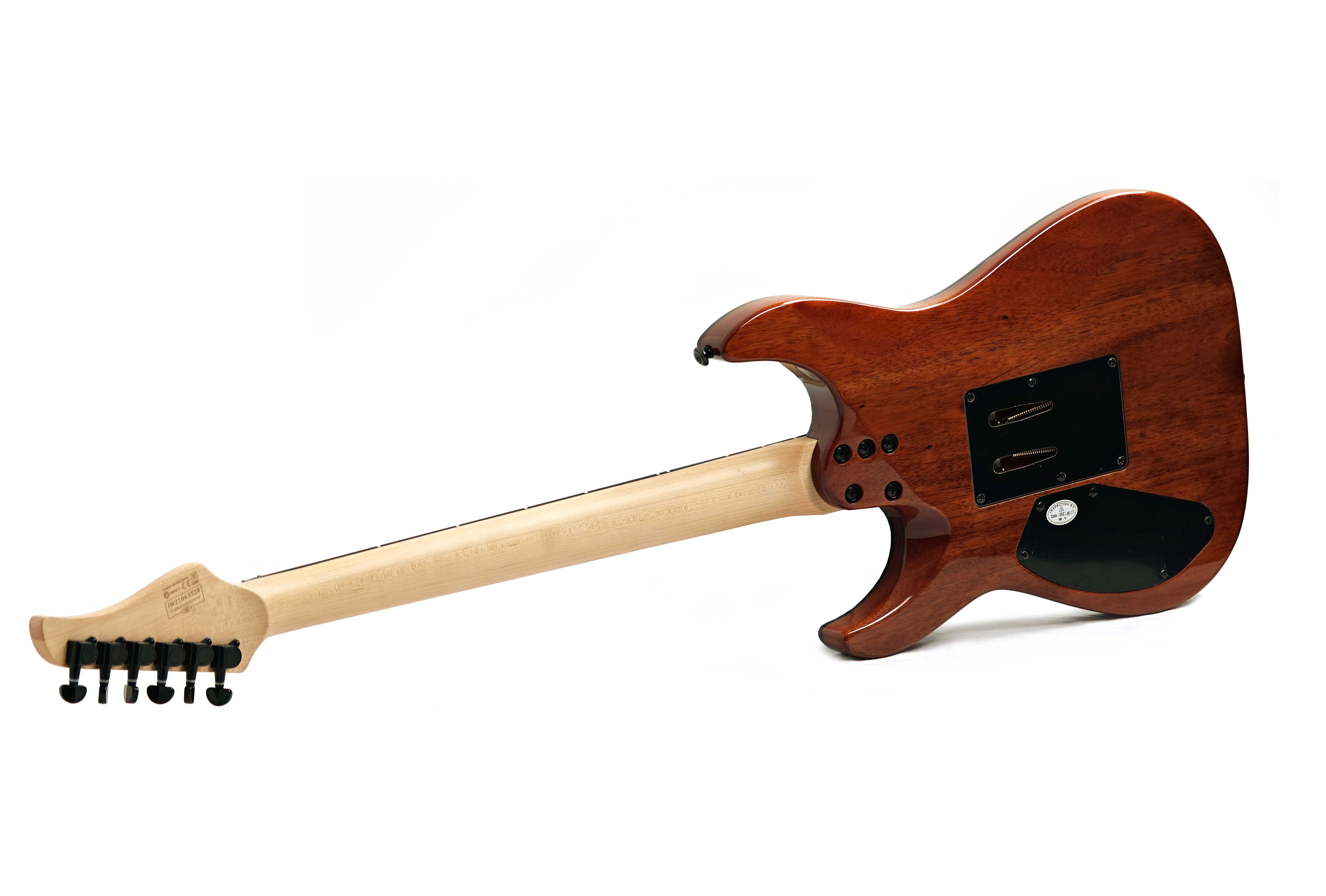 Schecter C-6 FR Pro Floyd Charcoal Black (Ex-Demo) #IW21063528