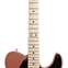 Fender American Performer Tele Penny Maple Fingerboard (Ex-Demo) #US18071594 