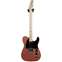 Fender American Performer Tele Penny Maple Fingerboard (Ex-Demo) #US18071594 Front View