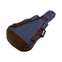Ibanez IAB541 POWERPAD Designer Collection Acoustic Gig Bag Navy Blue Product