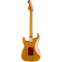 Fender Custom Shop Artisan Stratocaster Roasted Alder With Maple Burl Top Custom Collection Artisan Back View