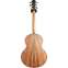 Lowden S-50 Adirondack Spruce/Honduras Rosewood with Bevel Back View