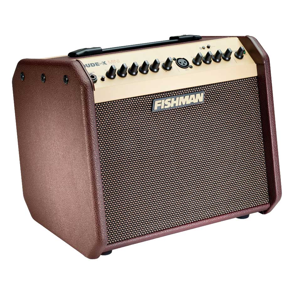 Fishman PRO-LBT-500 Loudbox Mini Bluetooth Acoustic Amp Combo