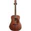 Fender PM-1 Dreadnought All Mahogany Ovangkol Fingerboard Front View