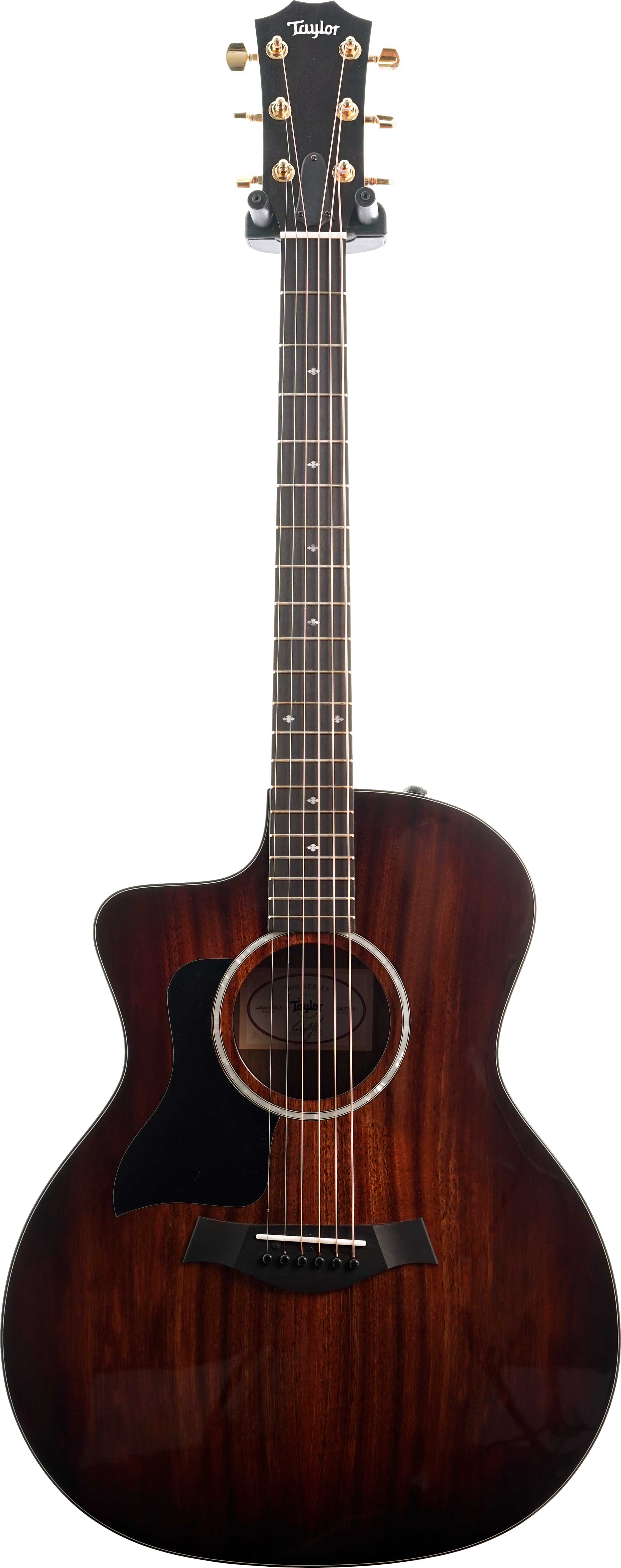 Taylor 224ceK Deluxe Grand Auditorium Gold Tuners Left Handed 2206073341 guitarguitar