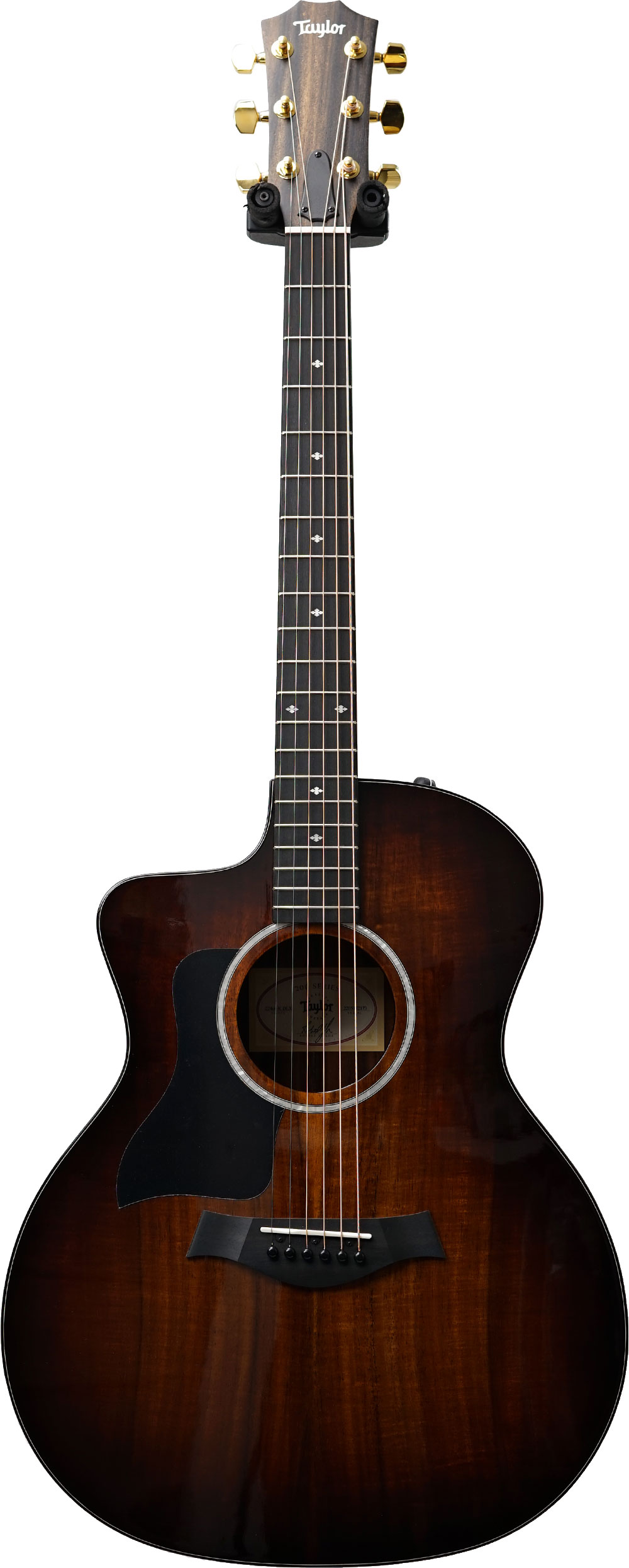 Taylor 224ceK Deluxe Grand Auditorium Gold Tuners Left Handed 2205152173 guitarguitar