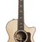 Taylor 812ce 12-Fret Deluxe V Class Bracing (Ex-Demo) #1104269007 