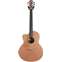 Lowden F23C Walnut/Red Cedar With LR Baggs Anthem Left Handed #24249 Front View