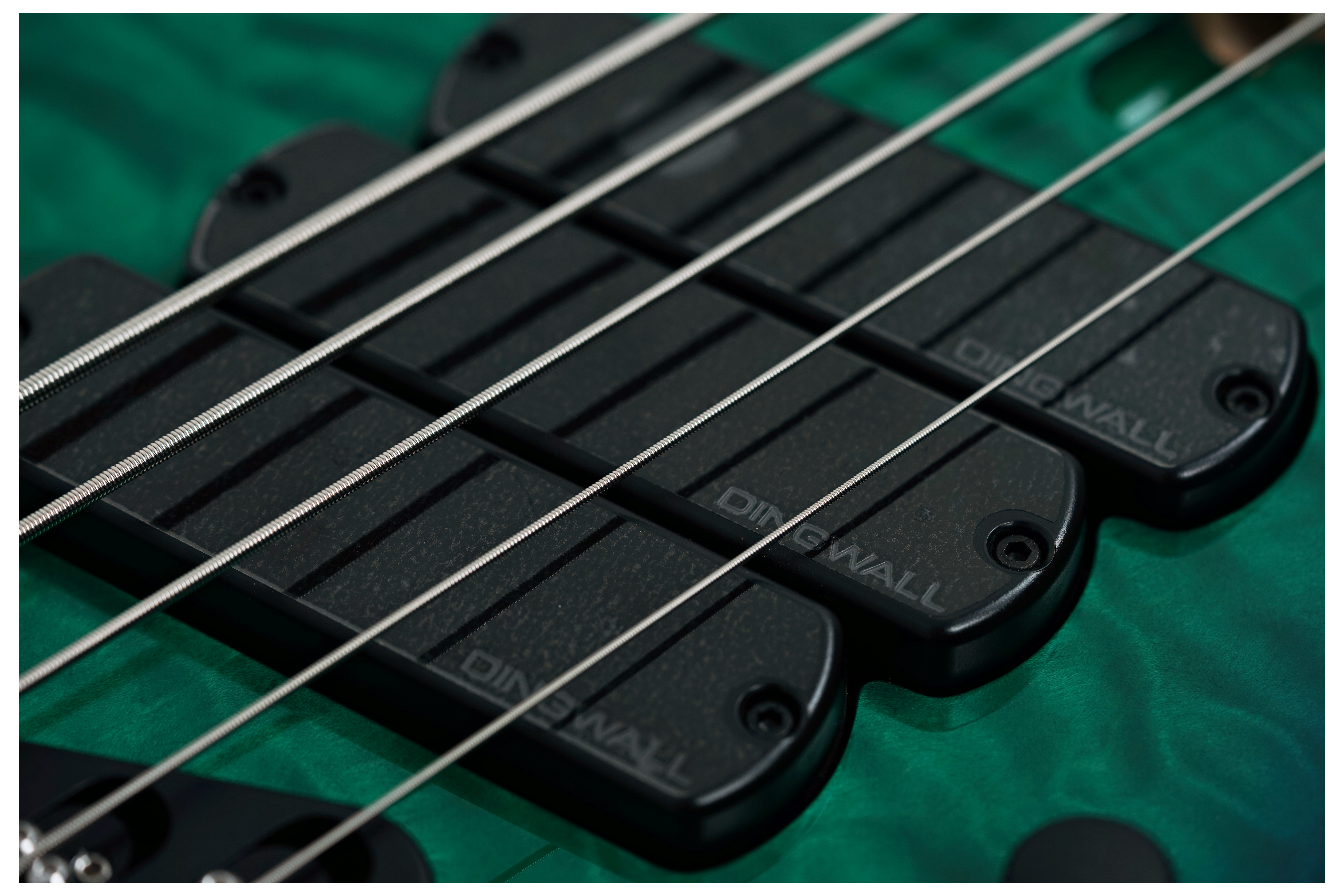 Dingwall Combustion 3 Pickup 5 String Whalepool Burst Quilt Maple Fingerboard #19565
