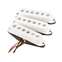 Fender Tex Mex Stratocaster Pickups Front View