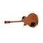 Gibson Les Paul Standard 50s Tobacco Burst #226130017 Front View