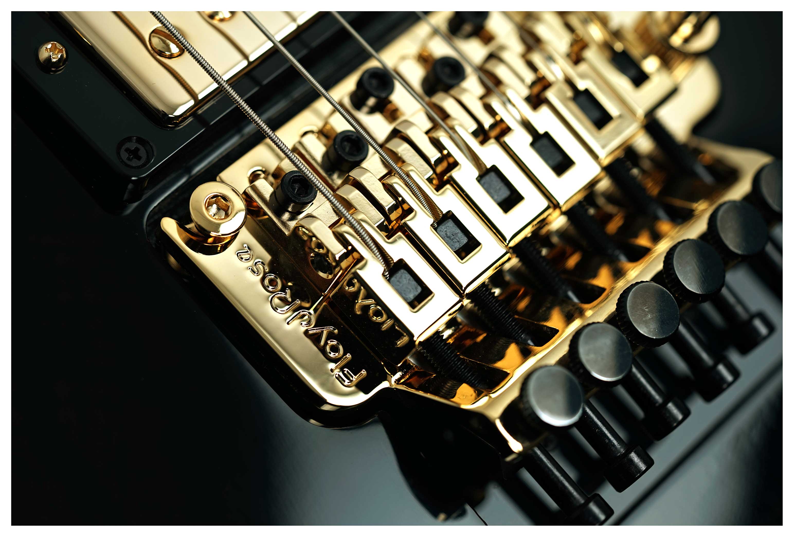 Gibson Custom Shop Les Paul Axcess Custom with Ebony Fingerboard Floyd Rose Gloss #CS600298