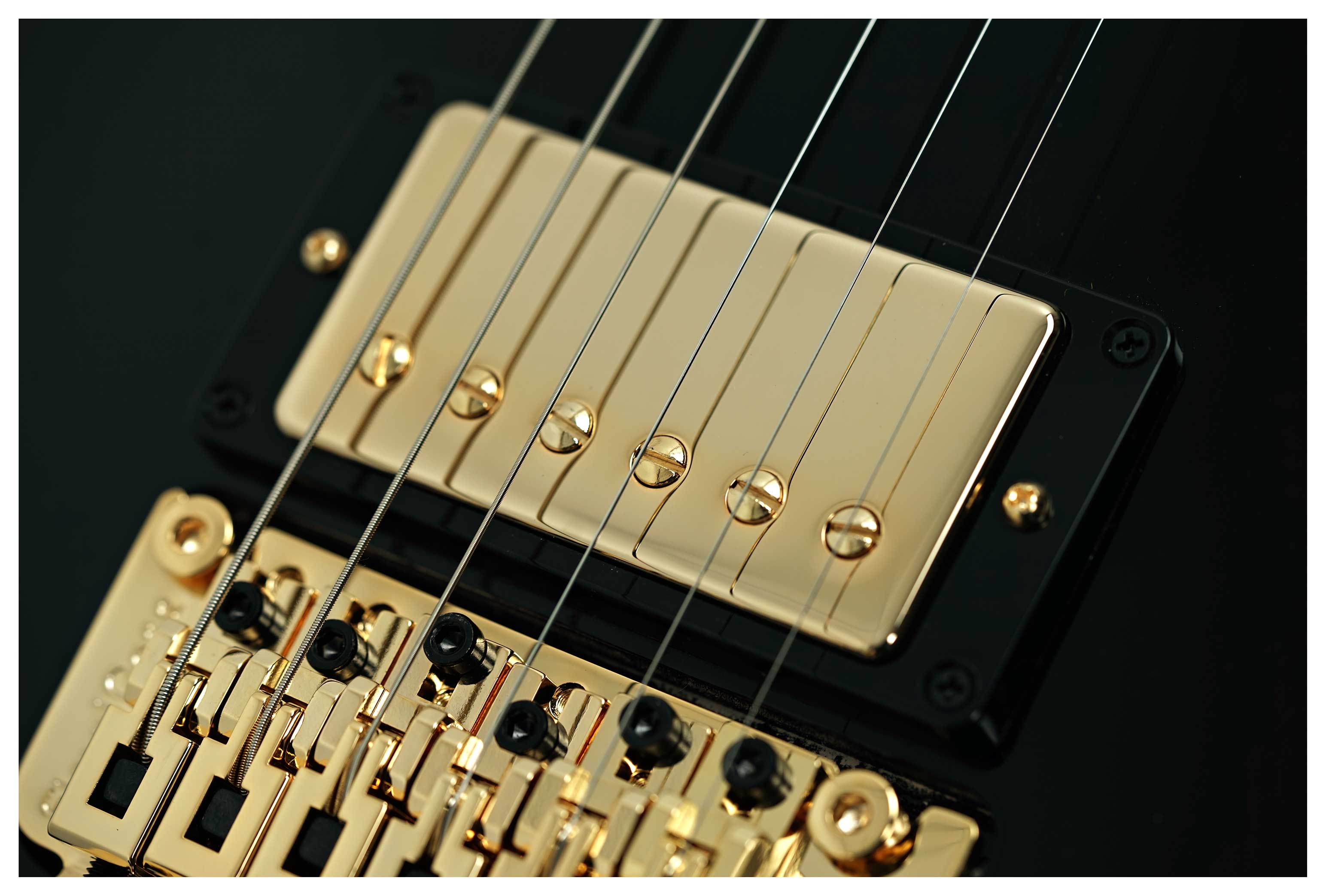 Gibson Custom Shop Les Paul Axcess Custom with Ebony Fingerboard Floyd Rose Gloss #CS600298