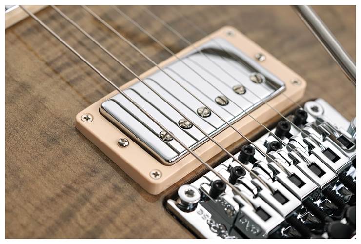 Gibson Custom Shop Les Paul Axcess Standard Figured Floyd Rose Gloss #CS404507 Gibson Custom Shop Les Paul Axcess Standard Figured Floyd Rose Gloss #CS404507