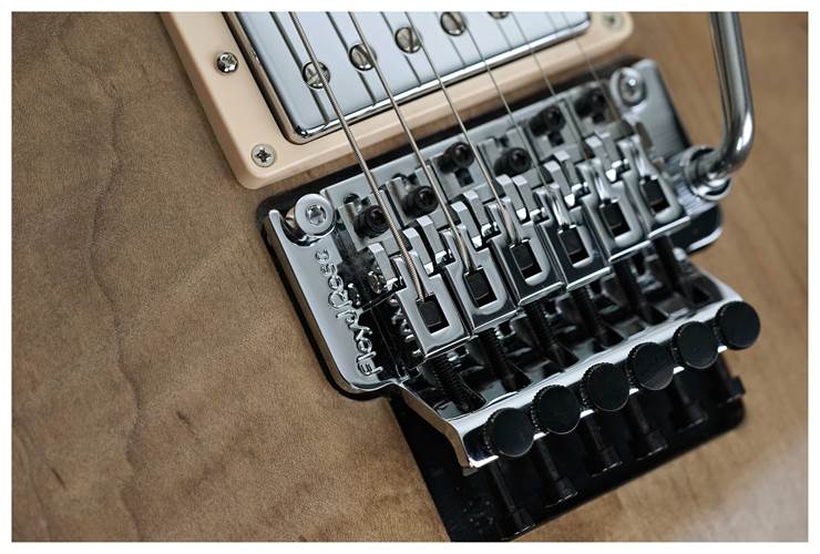 Gibson Custom Shop Les Paul Axcess Standard Figured Floyd Rose Gloss #CS404561 Gibson Custom Shop Les Paul Axcess Standard Figured Floyd Rose Gloss #CS404561