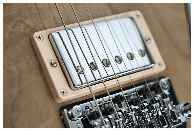Gibson Custom Shop Les Paul Axcess Standard Figured Floyd Rose Gloss #CS404561 Gibson Custom Shop Les Paul Axcess Standard Figured Floyd Rose Gloss #CS404561
