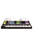 Moog Matriarch