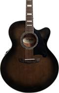 D'Angelico Premier Madison Grey Black (Ex-Demo) #CC170720640