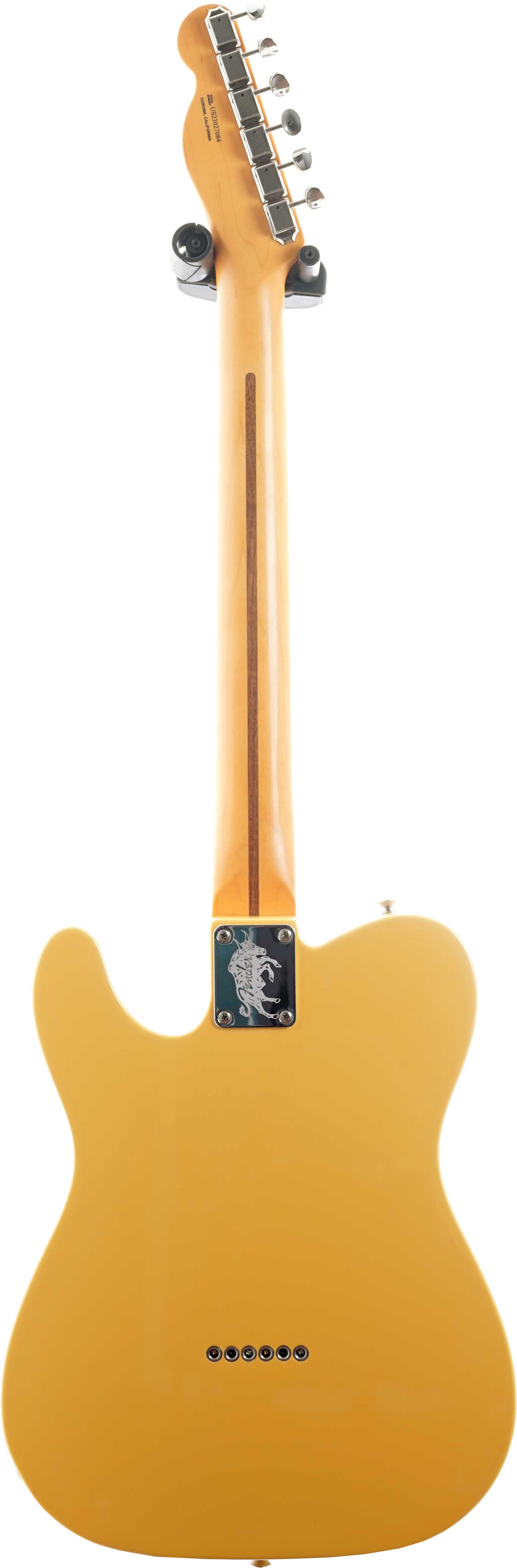 Fender Britt Daniel Telecaster Thinline Maple Fingerboard (Ex-Demo) #US23027084