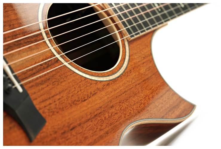 Taylor Custom Grand Auditorium Florentine Cutaway AA Walnut with A Walnut Top #1108105145 Taylor Custom Grand Auditorium Florentine Cutaway AA Walnut with A Walnut Top #1108105145