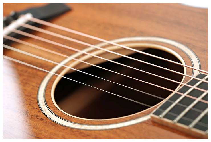 Taylor Custom Grand Auditorium Florentine Cutaway AA Walnut with A Walnut Top #1108105145 Taylor Custom Grand Auditorium Florentine Cutaway AA Walnut with A Walnut Top #1108105145