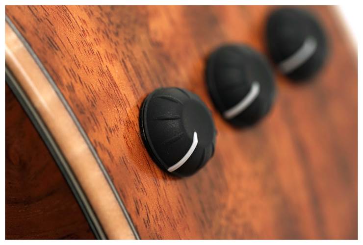 Taylor Custom Grand Auditorium Florentine Cutaway AA Walnut with A Walnut Top #1108105145 Taylor Custom Grand Auditorium Florentine Cutaway AA Walnut with A Walnut Top #1108105145