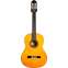 Yamaha GC32S Grand Concert Classical Guitar Spruce #IIO600A Front View