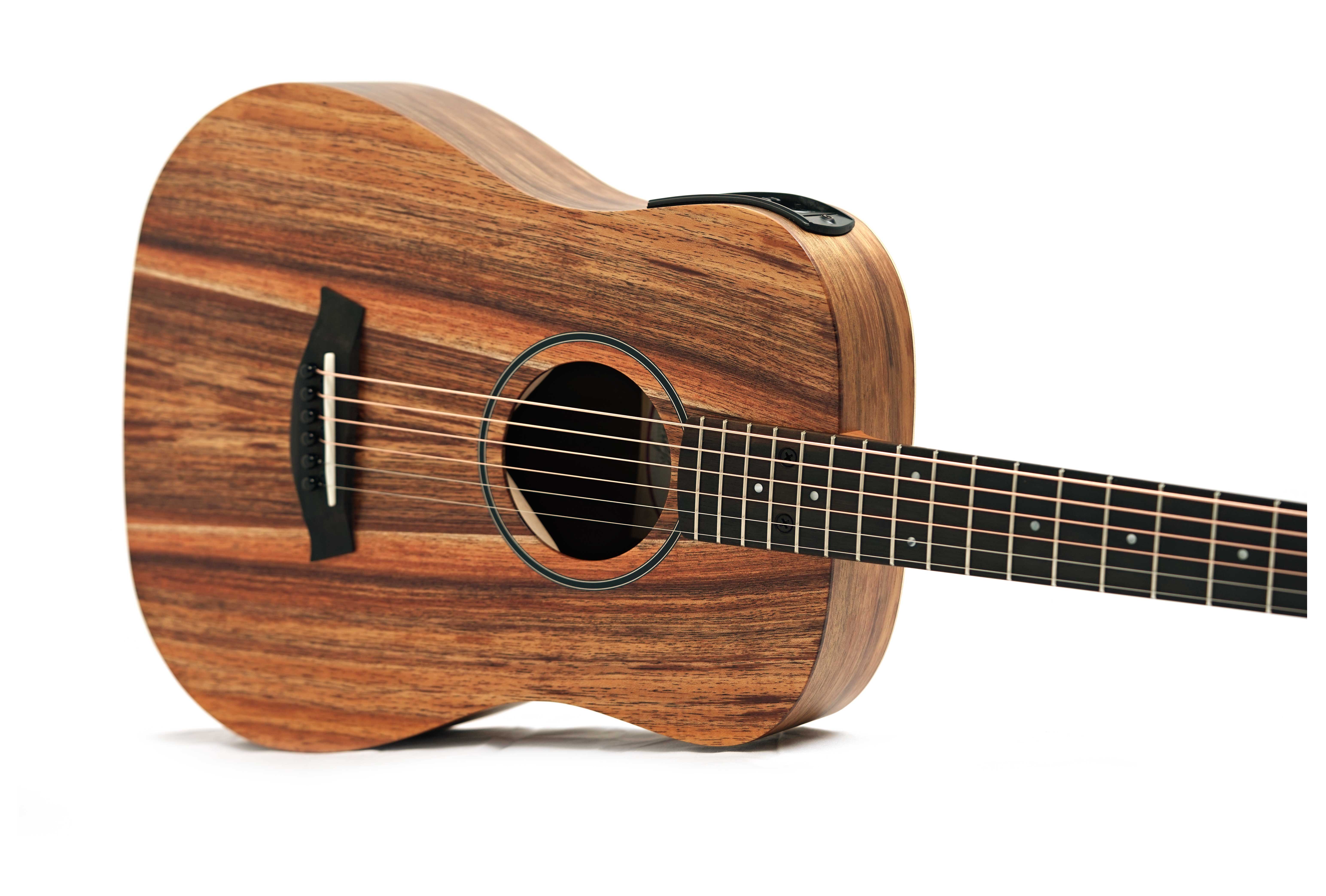 Taylor BTe-Koa Baby (Ex-Demo) #2206275029