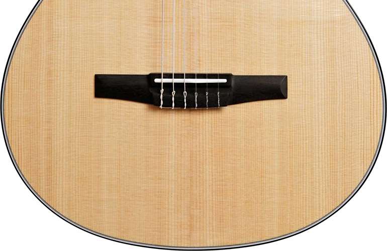Taylor 312ce-N Grand Concert Taylor 312ce-N Grand Concert