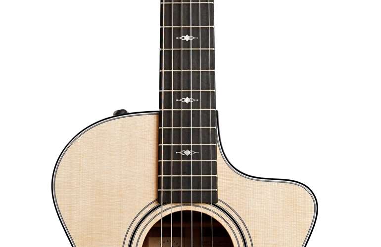 Taylor 312ce-N Grand Concert Taylor 312ce-N Grand Concert