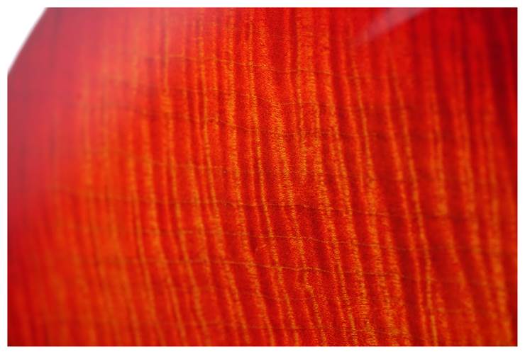 Suhr Modern Plus Fireburst Pau Ferro Fingerboard HSH Gotoh 510 #86492 Suhr Modern Plus Fireburst Pau Ferro Fingerboard HSH Gotoh 510 #86492