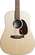 Martin X Series DX2E