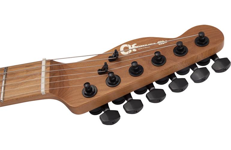 Charvel Pro-Mod So-Cal Style 2 24 HH 2PT CM Black Ash Charvel Pro-Mod So-Cal Style 2 24 HH 2PT CM Black Ash