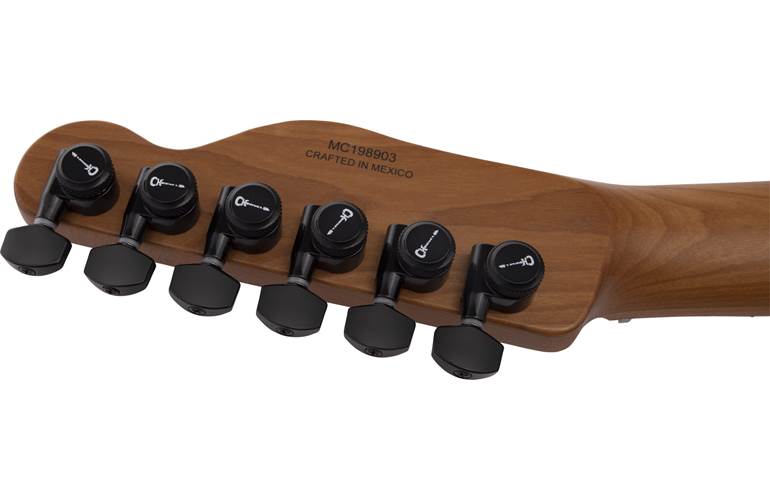 Charvel Pro-Mod So-Cal Style 2 24 HH 2PT CM Black Ash Charvel Pro-Mod So-Cal Style 2 24 HH 2PT CM Black Ash